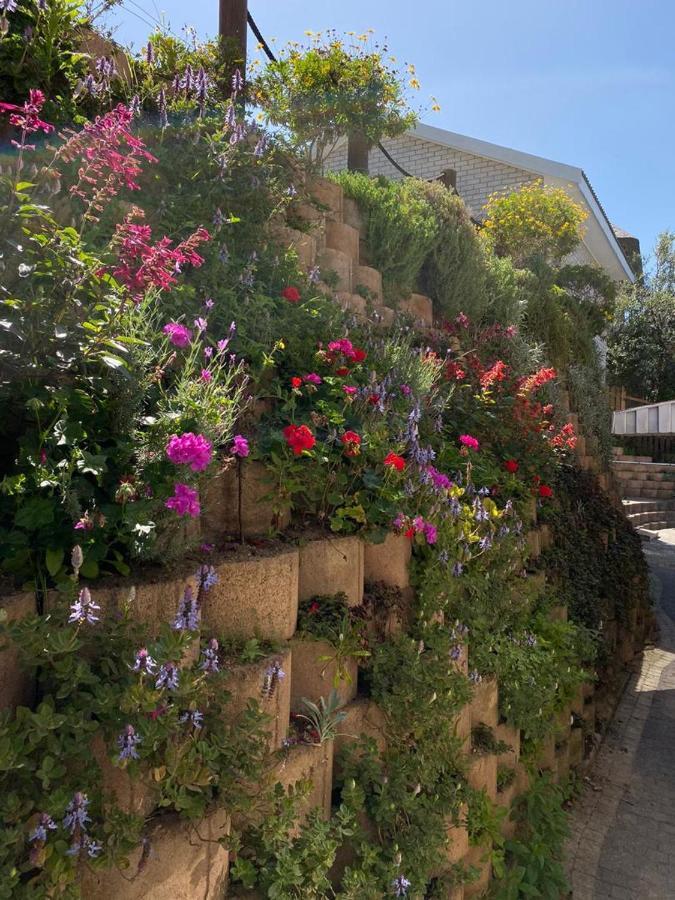 Wilderness Oceanview Villa Exterior photo